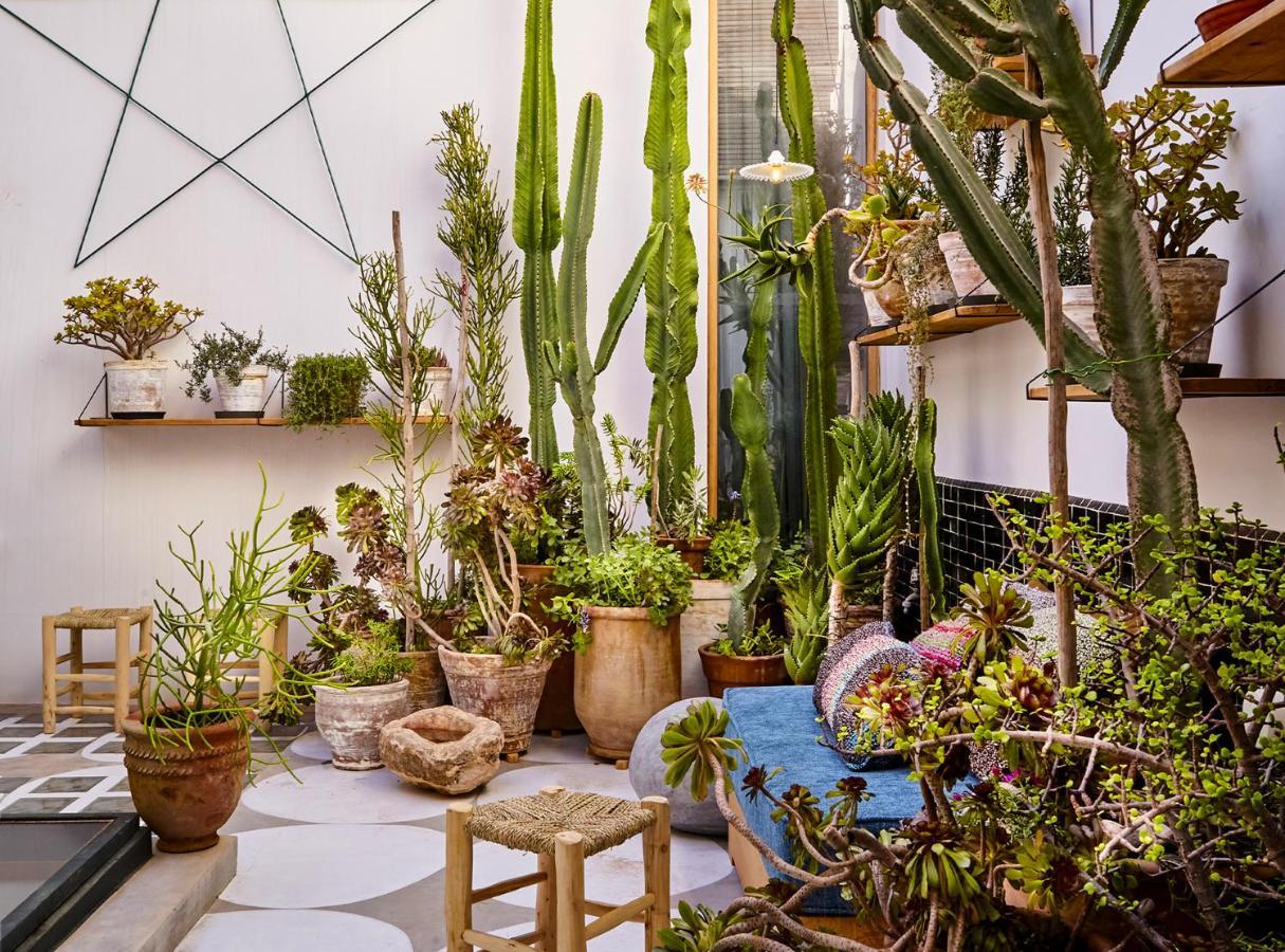 Casa.B Mogador 호텔 에사우이라 외부 사진